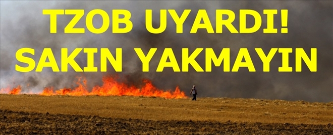 ANIZ YAKMAK TOPRAĞA VE ÇEVREYE ÇOK ZARAR VERİYOR