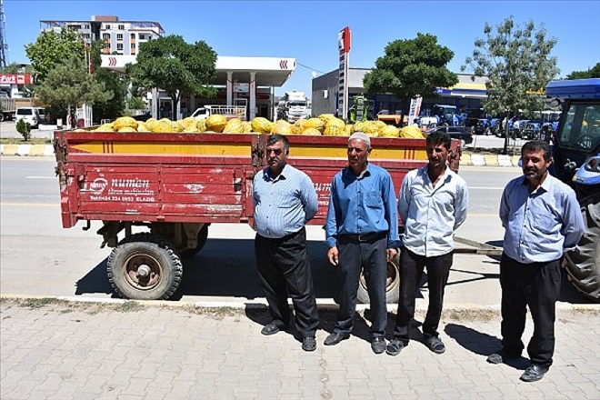 MUŞ KARPUZU VE KAVUNU PAZAR SORUNU YAŞIYOR