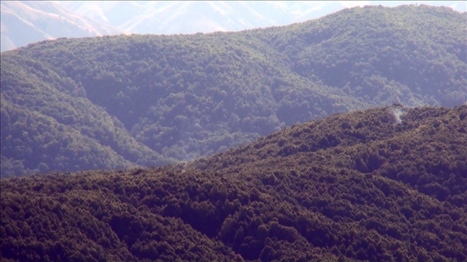 3 TERÖRSİT ETKİSİZ HALE GETİRİLDİ