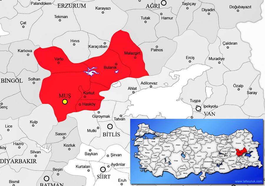 MUŞ’UN NÜFUSU BİR ÖNCEKİ YILA ORANLA ARTTI