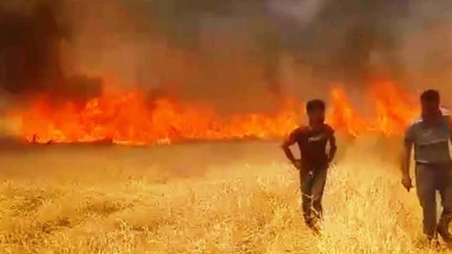 300 DÖNÜM EKİLİ ALAN YANDI