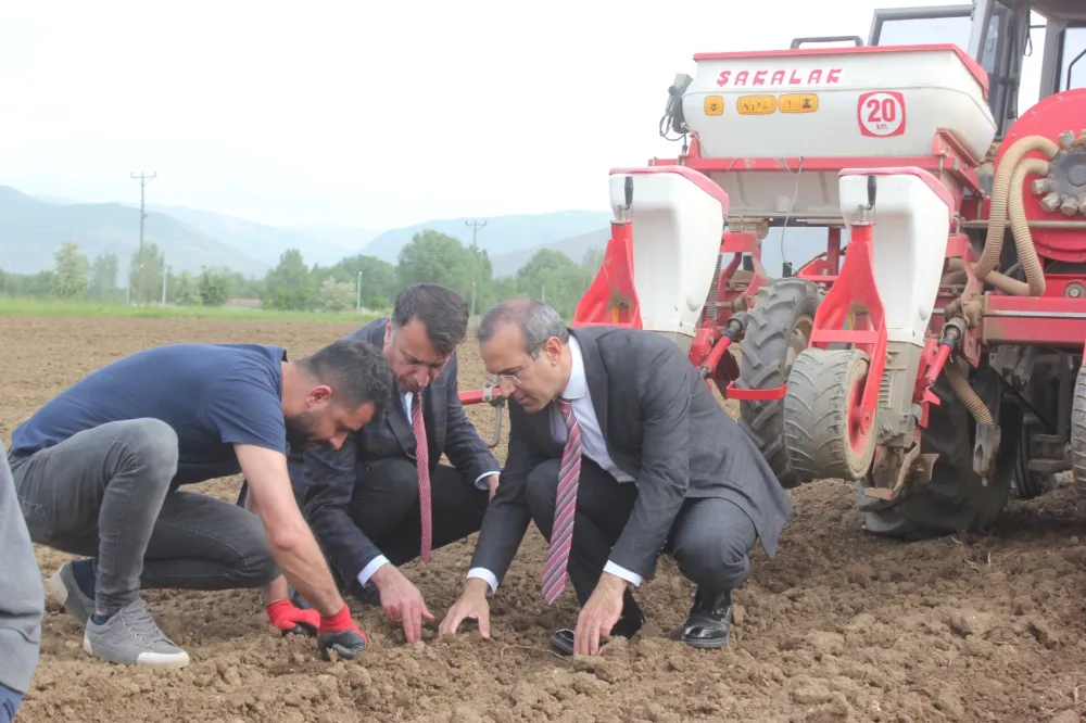 SİLAJLIK SOYA BİTKİSİNİN DENEME EKİMİ YAPILDI