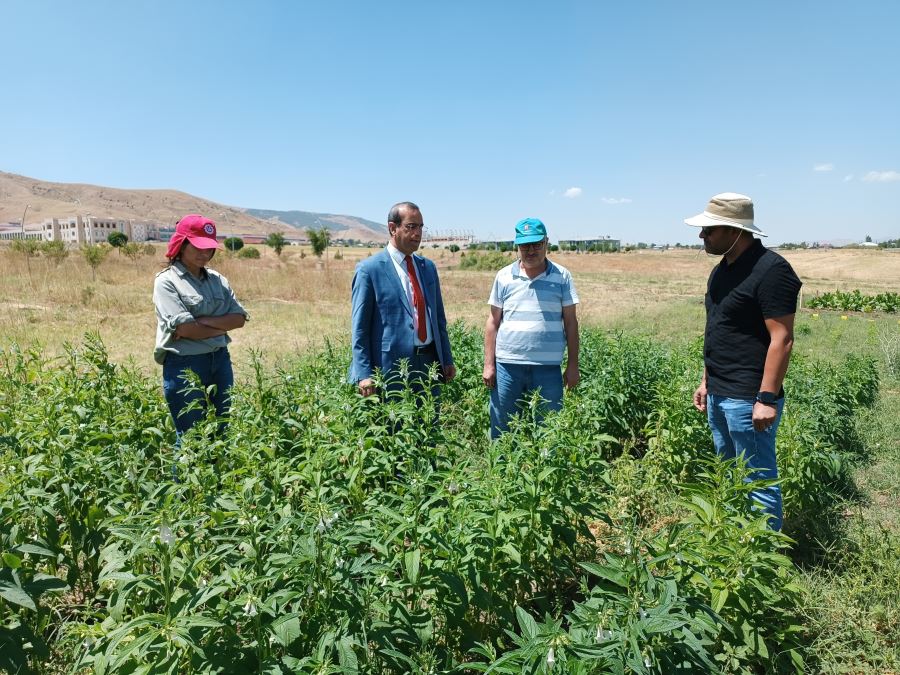 ASPİR VE SUSAMIN DENEME EKİMİ YAPILDI