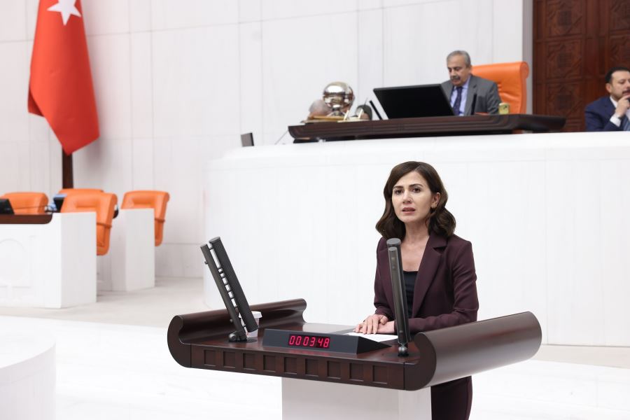 YSP’Lİ BOZ’DAN ARAŞTIRMA ÖNERGESİ