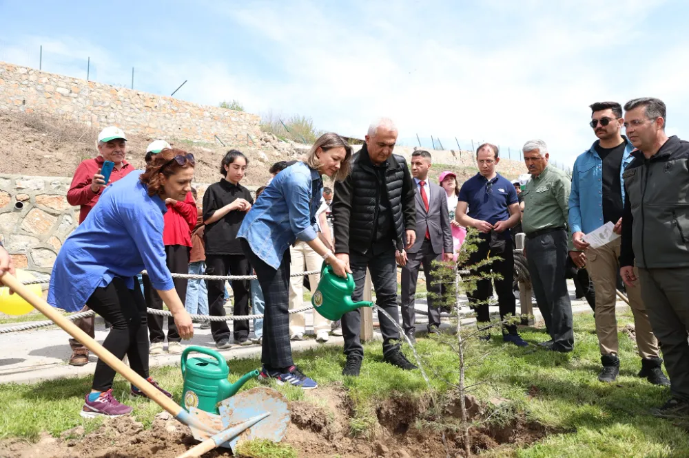 270 ÇAM FİDANI TOPRAKLA BULUŞTURULDU