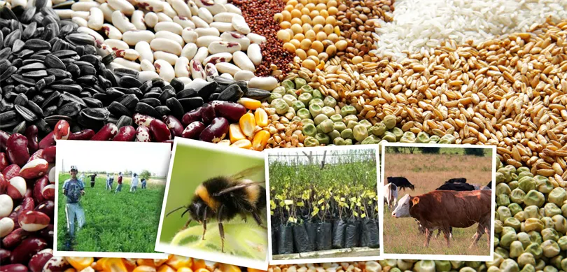 694 MİLYON LİRALIK DESTEKLEME ÖDEMESİ YAPILDI