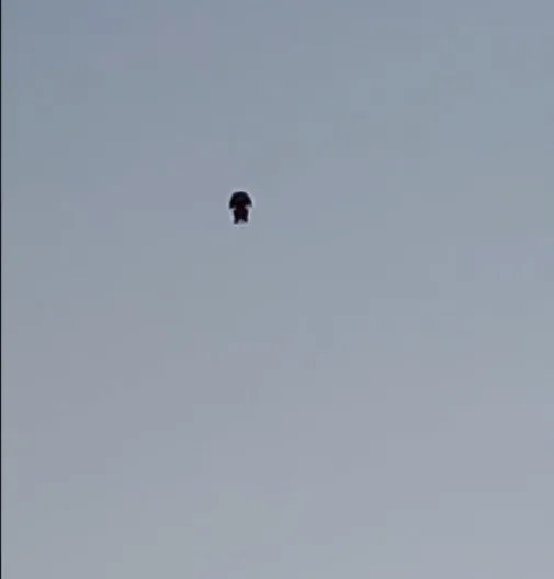 İNSANI ANDIRAN CİSİMLER MERAK KONUSU OLDU