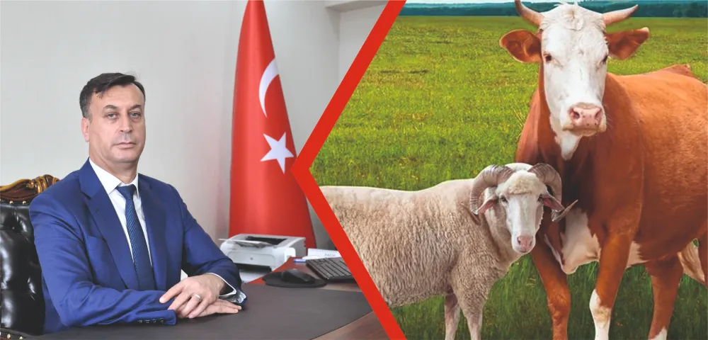 KURBANLIK HAYVANLARIN SEVKİNDE UYULACAK KURALLARI BELİRLENDİ
