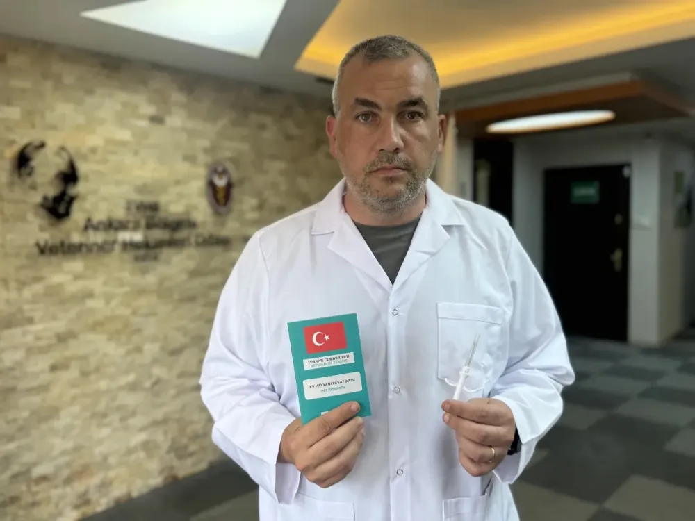 KİMLİKLENDİRİLEN KÖPEK SAYISINDA SONUNCUYUZ