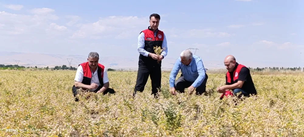 ATIL DURUMDAKİ ARAZİLER TARIMA KAZANDIRILDI