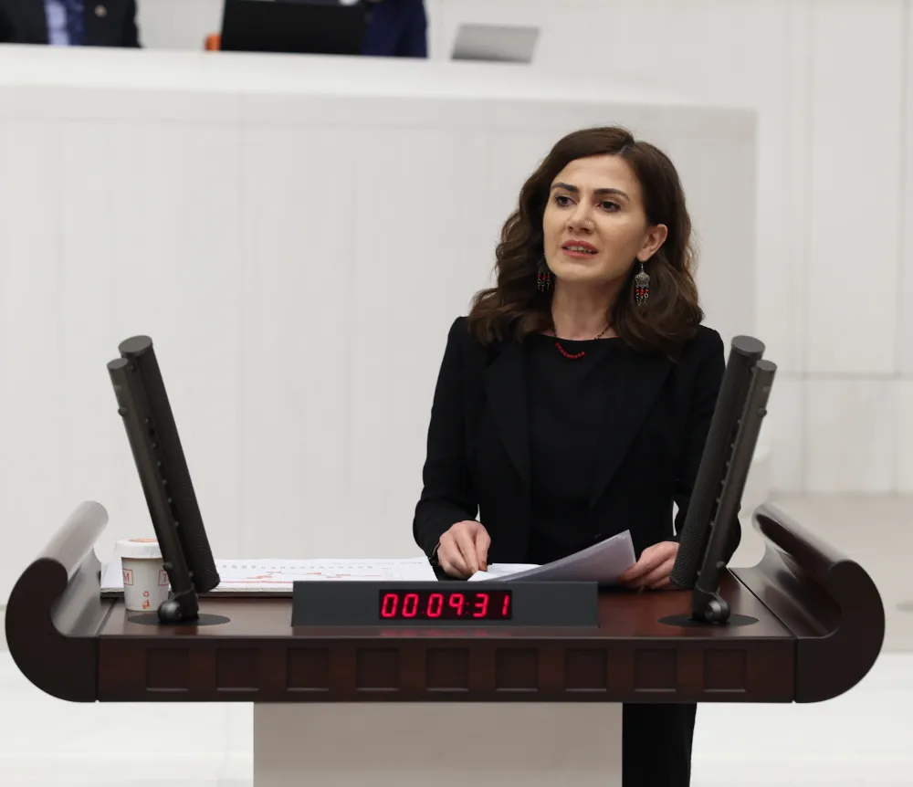 DEM PARTİLİ BOZ, MUŞ’UN ULAŞIM SORUNLARINI MECLİS GÜNDEMİNE TAŞIDI