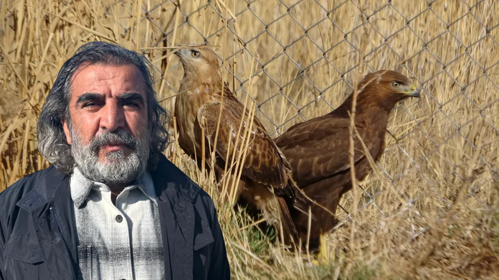 MUŞ’TAN GÖTÜRÜLEN YABAN KUŞLARI VAN YYÜ’DE TEDAVİ EDİLİP DOĞAYA SALINIYOR
