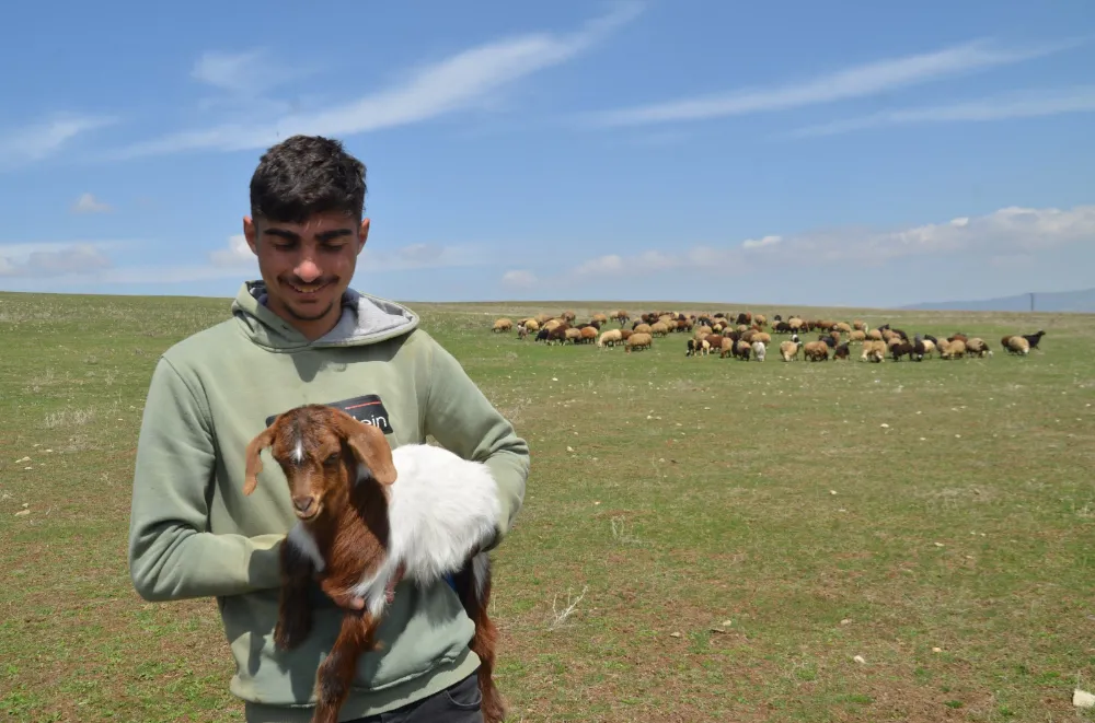 KIŞ BİTTİ, HAYVANLAR MERAYA İNDİ