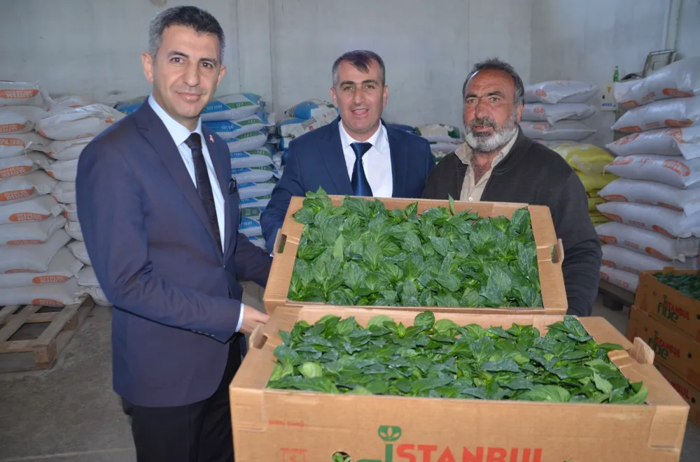 ÇİFTÇİYE 6,5 MİLYON TL’LİK FİDE DESTEĞİ