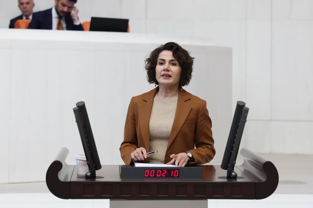 BULANIK’TAKİ KÖY YOLLARINDAKİ HEYELAN VE ULAŞIM SORUNU TBMM GÜNDEMİNDE