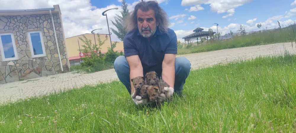 YAYLADA BULUNDULAR, VAN’DA KREŞE ALINDILAR