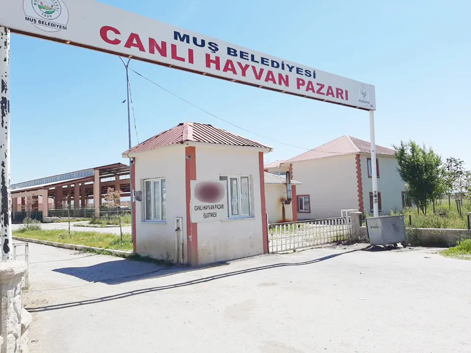 HAYVAN PAZARI GEÇİCİ SÜREYLE KAPATILDI