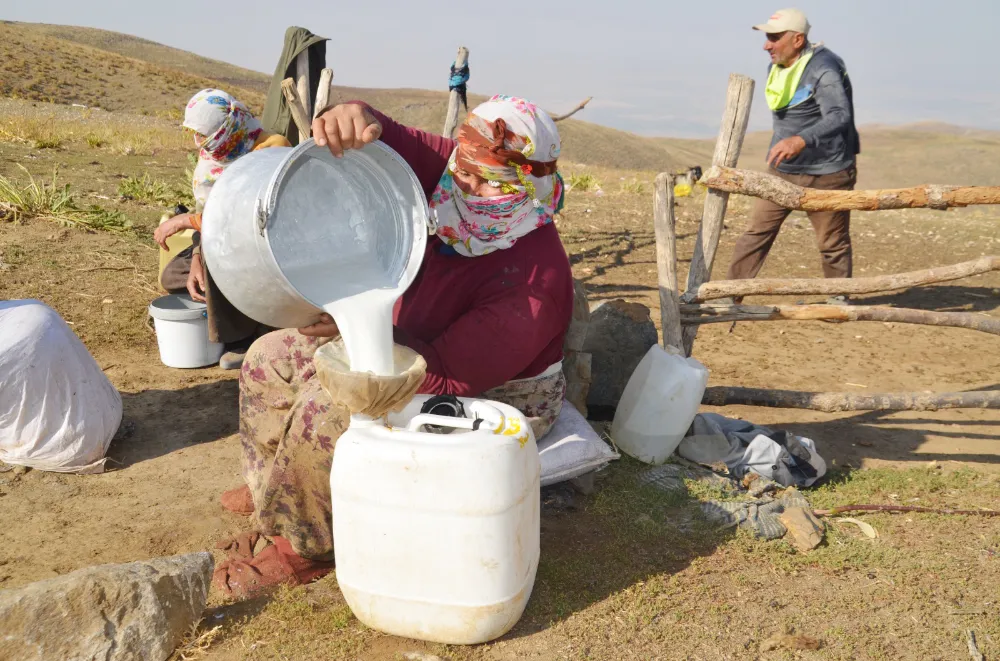 ZORLUKLARA RAĞMEN YAYLADA DOĞAL PEYNİR VE TEREYAĞI ÜRETİMİ SÜRÜYOR