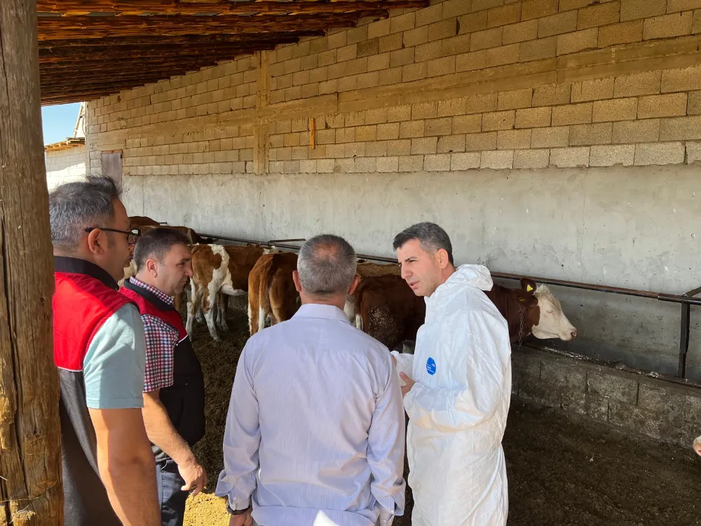 HAYVAN SAĞLIĞI İÇİN AŞILAMA ÇALIŞMALARI SÜRÜYOR