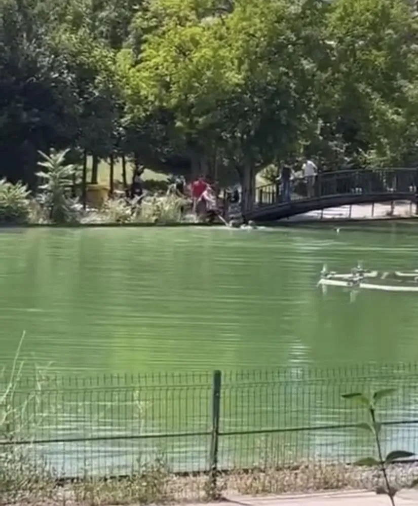 GÖLETLİ PARK’TA KORKU DOLU ANLAR: SUYA DÜŞEN ÇOCUK VATANDAŞLAR TARAFINDAN KURTARILDI