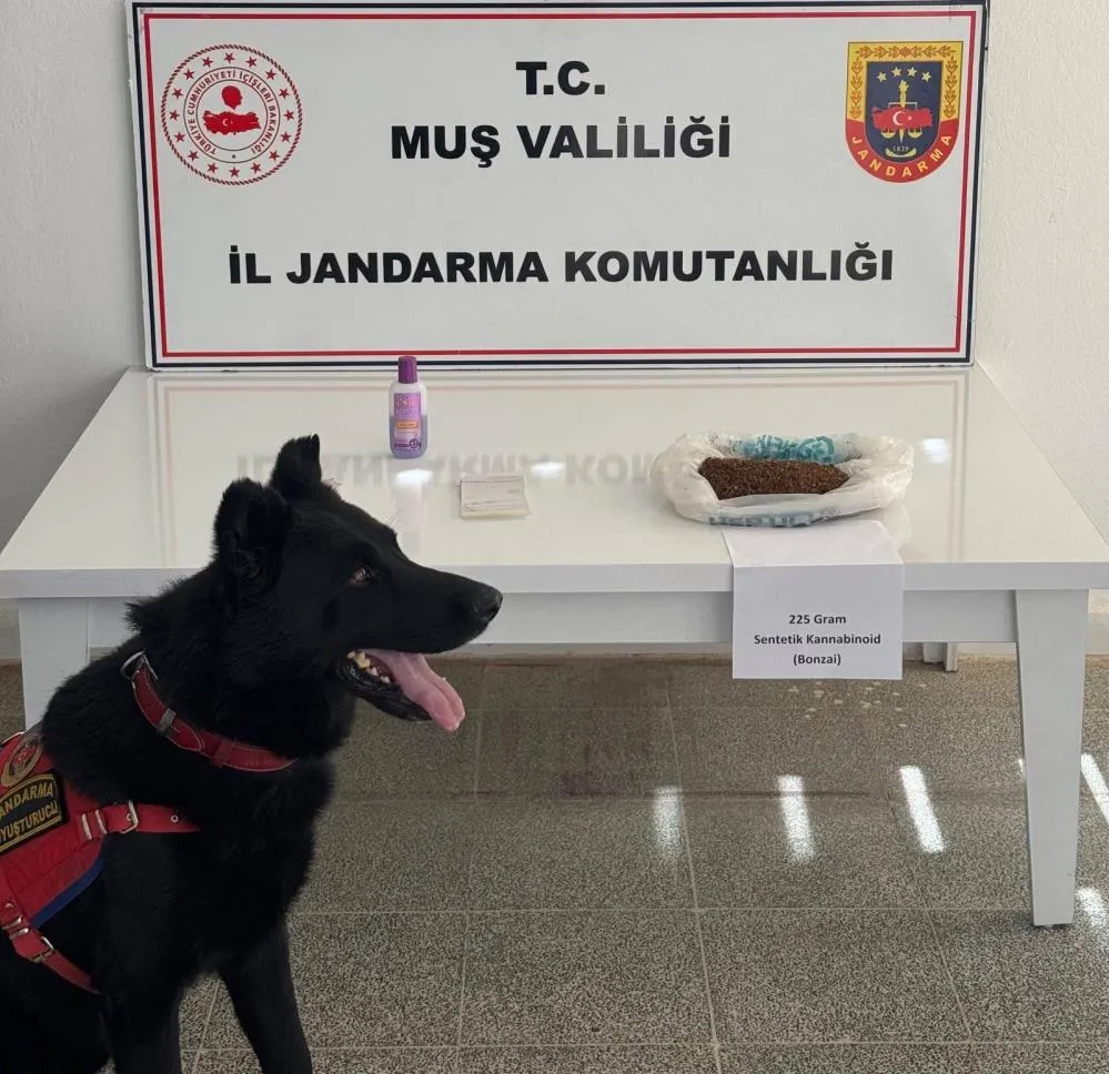 JANDARMADAN UYUŞTURUCU OPERASYONU: 2 GÖZALTI