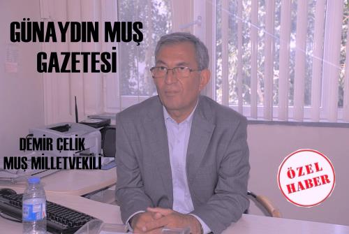 BDP´Lİ ÇELİK, İDDİALARI YANITLADI