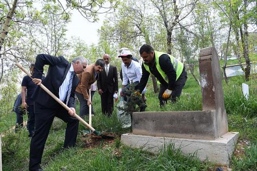 BELEDİYEDEN ŞEHİR MEZARLIĞINDA YEŞİLLENDİRME ÇALIŞMASI